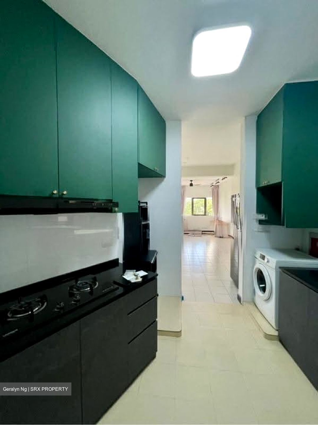 Bayshore Park (D16), Condominium #613266701